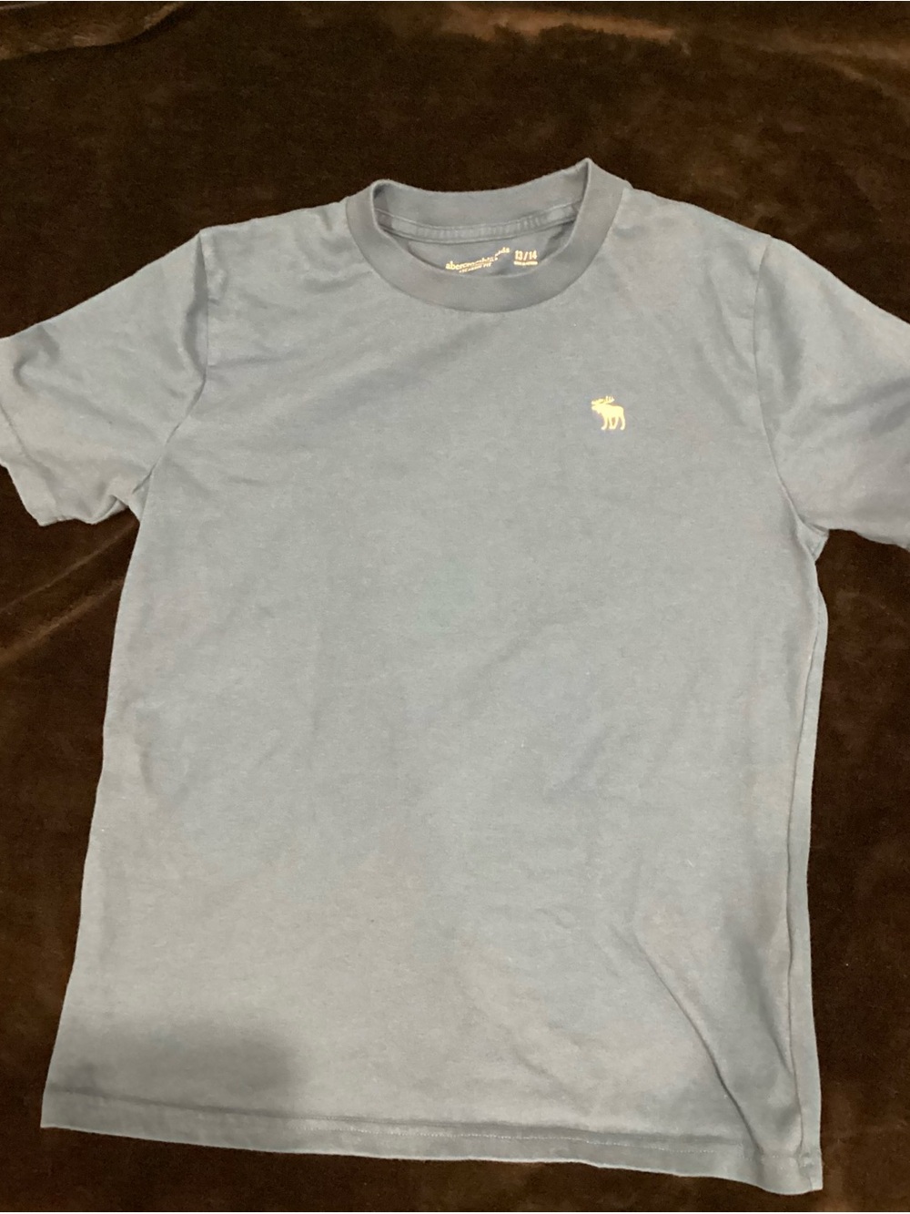abercrombie kids Light Blue Short Sleeve Crew Tee